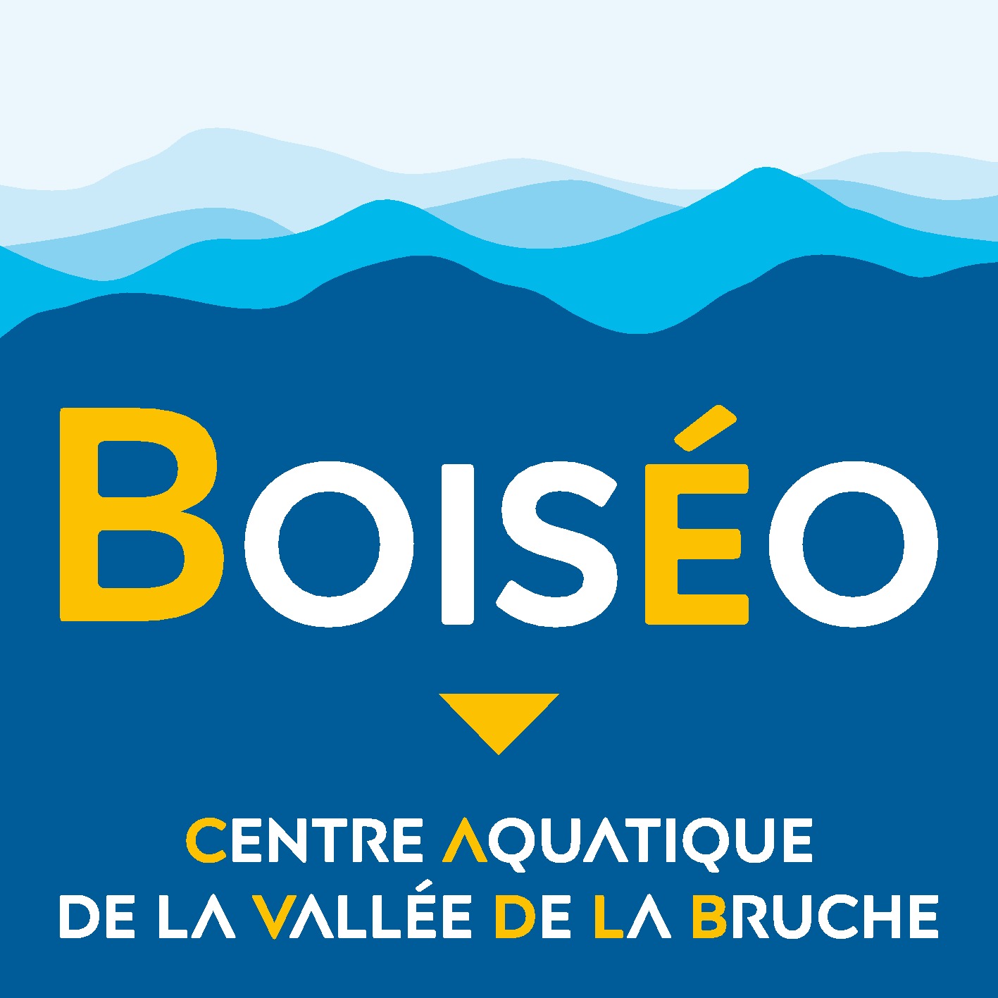 Logo-Boiseo-couleur.ai(1)